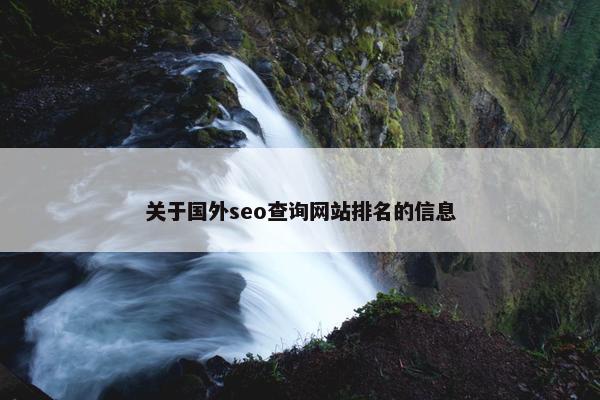 关于国外seo查询网站排名的信息