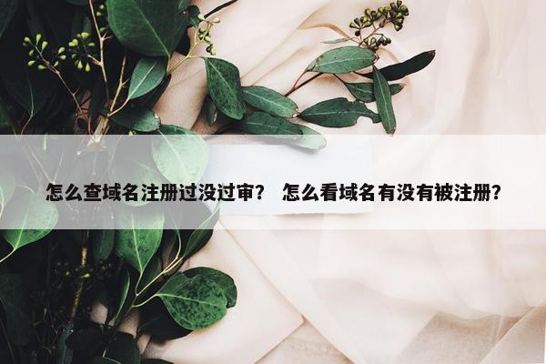 怎么查域名注册过没过审？ 怎么看域名有没有被注册？