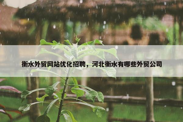 衡水外贸网站优化招聘，河北衡水有哪些外贸公司