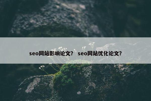 seo网站影响论文？ seo网站优化论文？