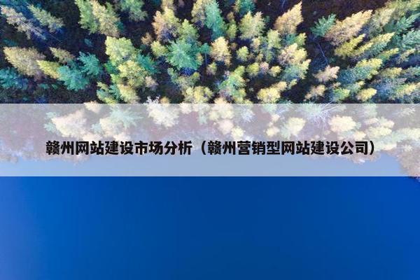 赣州网站建设市场分析（赣州营销型网站建设公司）