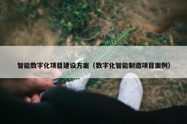 智能数字化项目建设方案（数字化智能制造项目案例）