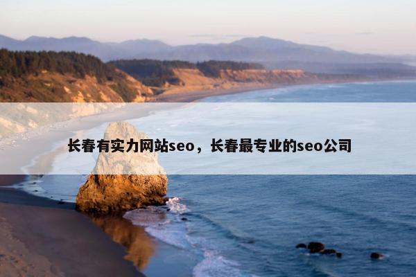 长春有实力网站seo，长春最专业的seo公司