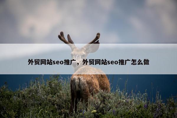 外贸网站seo推广，外贸网站seo推广怎么做