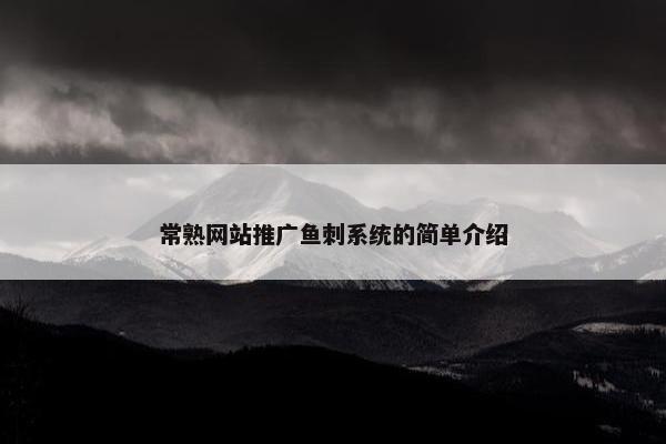 常熟网站推广鱼刺系统的简单介绍