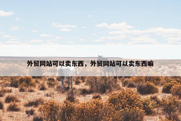 外贸网站可以卖东西，外贸网站可以卖东西嘛