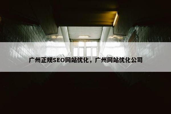 广州正规SEO网站优化，广州网站优化公司