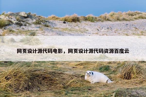 网页设计源代码电影，网页设计源代码资源百度云