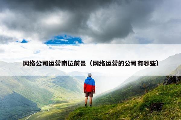 网络公司运营岗位前景（网络运营的公司有哪些）