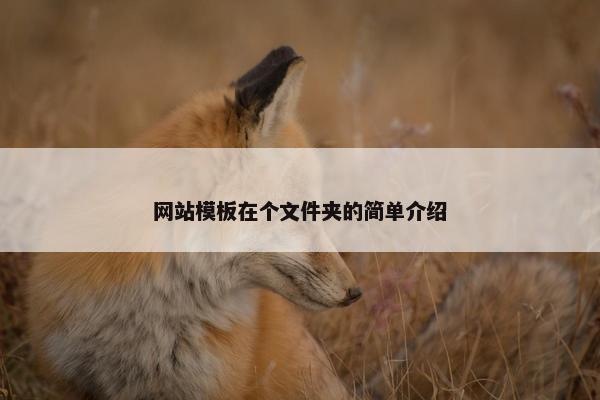 网站模板在个文件夹的简单介绍