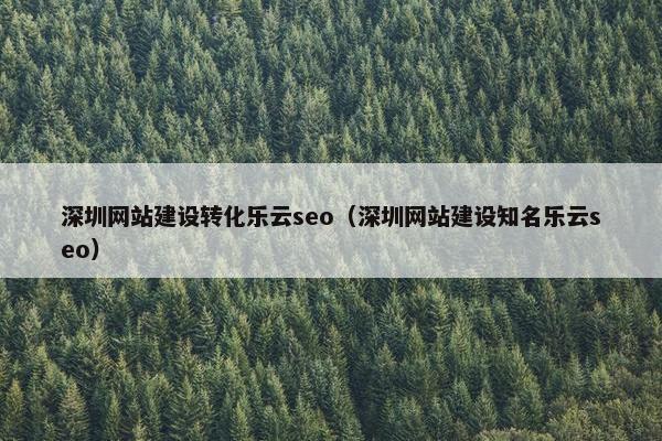 深圳网站建设转化乐云seo（深圳网站建设知名乐云seo）
