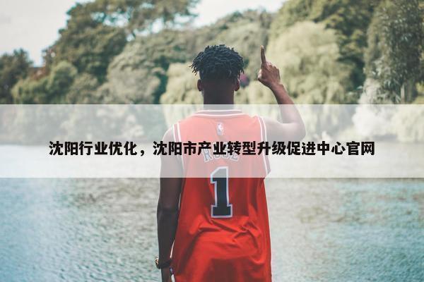 沈阳行业优化，沈阳市产业转型升级促进中心官网