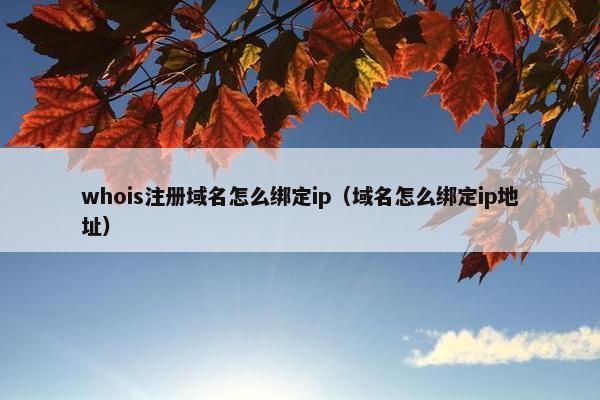 whois注册域名怎么绑定ip（域名怎么绑定ip地址）