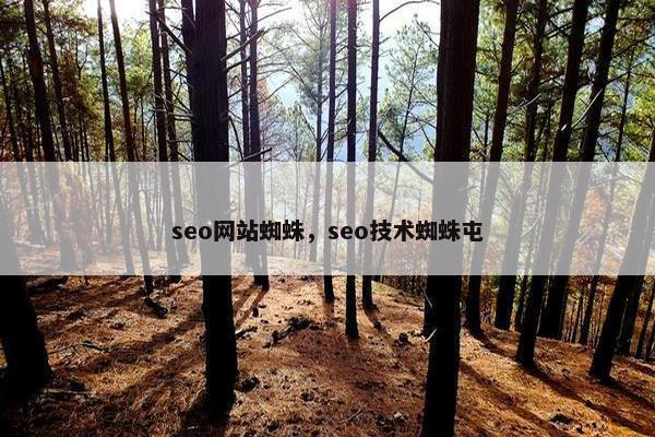 seo网站蜘蛛，seo技术蜘蛛屯