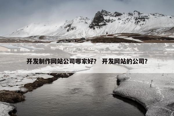 开发制作网站公司哪家好？ 开发网站的公司？