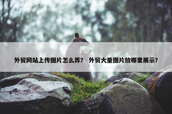 外贸网站上传图片怎么弄？ 外贸大量图片放哪里展示？