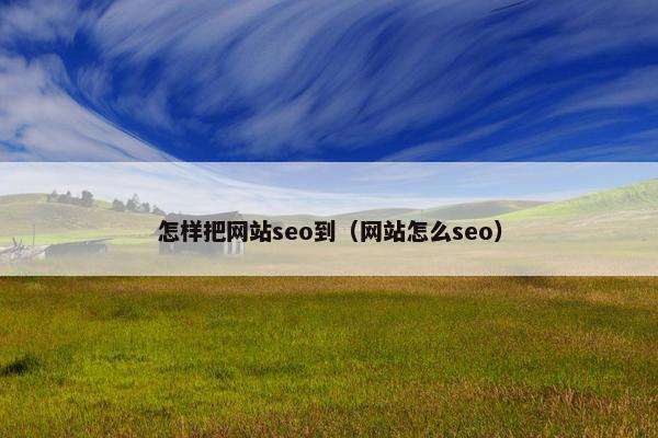 怎样把网站seo到（网站怎么seo）