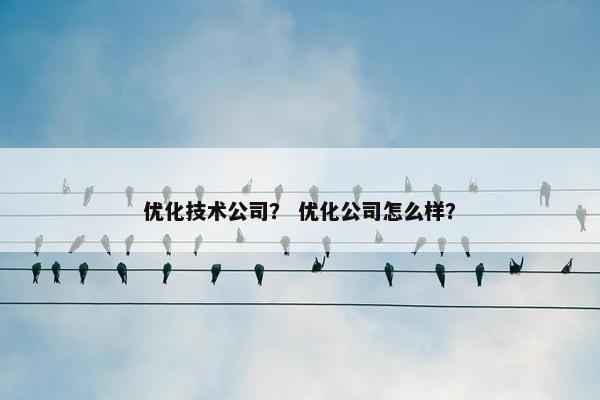 优化技术公司？ 优化公司怎么样？