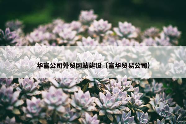 华富公司外贸网站建设（富华贸易公司）