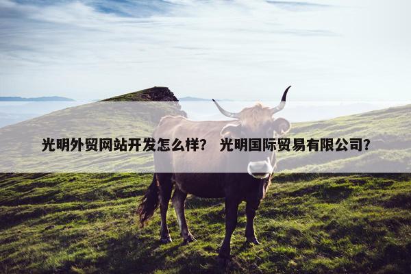 光明外贸网站开发怎么样？ 光明国际贸易有限公司？