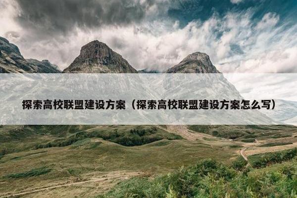 探索高校联盟建设方案（探索高校联盟建设方案怎么写）