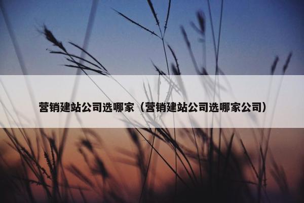 营销建站公司选哪家（营销建站公司选哪家公司）