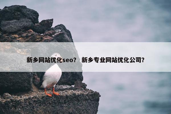 新乡网站优化seo？ 新乡专业网站优化公司？