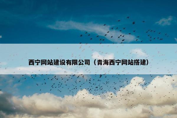 西宁网站建设有限公司（青海西宁网站搭建）