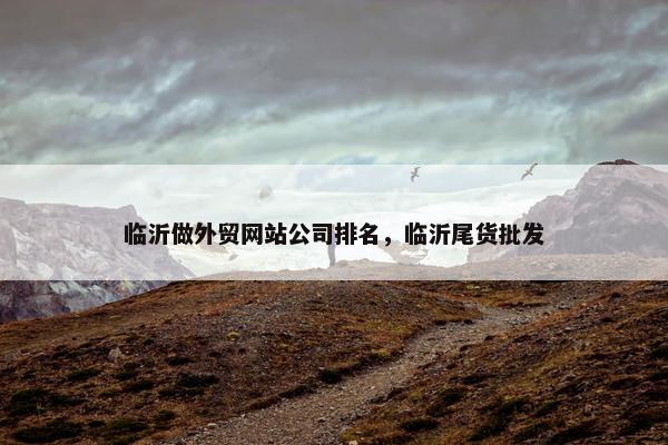 临沂做外贸网站公司排名，临沂尾货批发