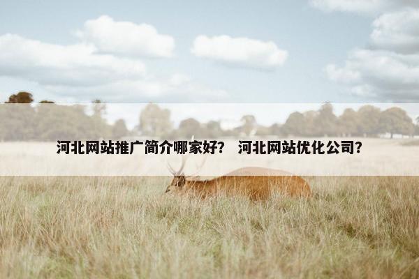 河北网站推广简介哪家好？ 河北网站优化公司？