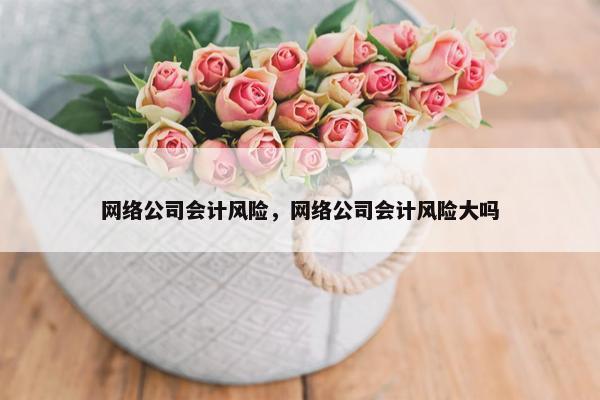 网络公司会计风险，网络公司会计风险大吗