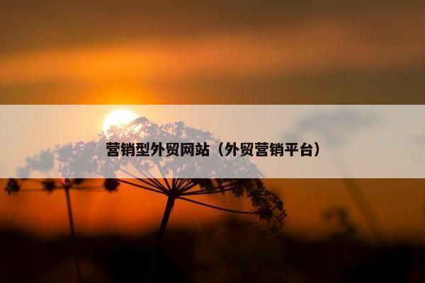 营销型外贸网站（外贸营销平台）