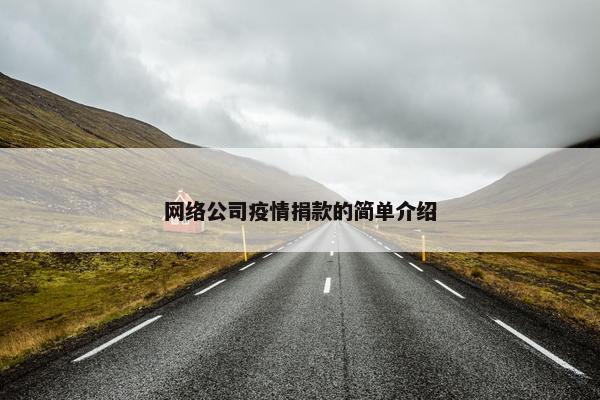 网络公司疫情捐款的简单介绍