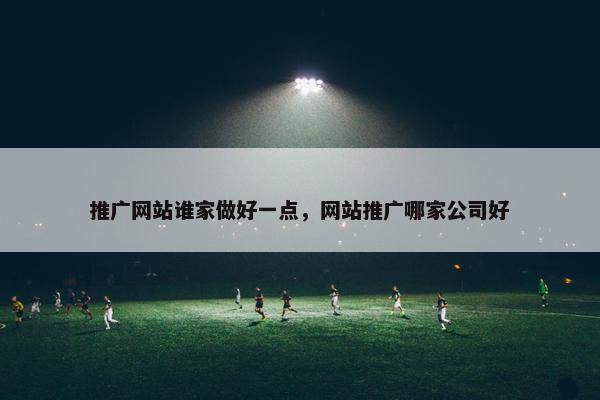 推广网站谁家做好一点，网站推广哪家公司好