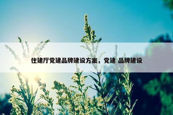 住建厅党建品牌建设方案，党建 品牌建设