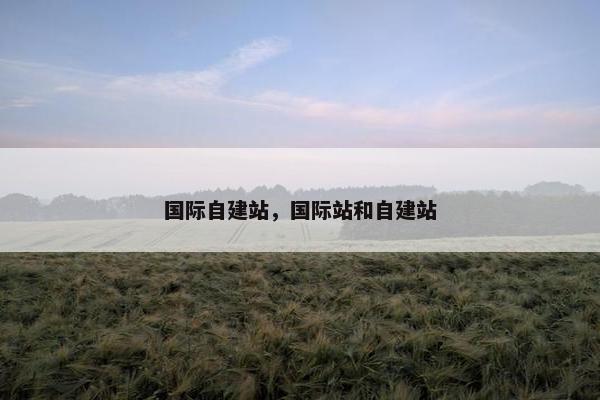 国际自建站，国际站和自建站