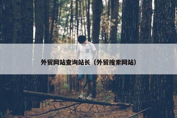 外贸网站查询站长（外贸搜索网站）