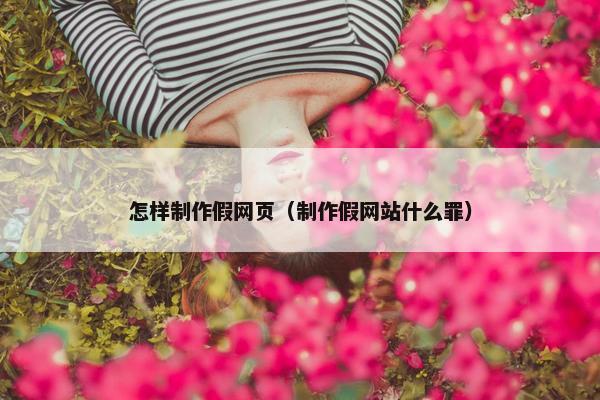 怎样制作假网页（制作假网站什么罪）