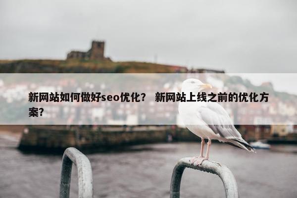 新网站如何做好seo优化？ 新网站上线之前的优化方案？
