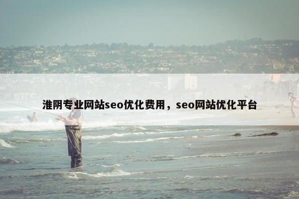 淮阴专业网站seo优化费用，seo网站优化平台