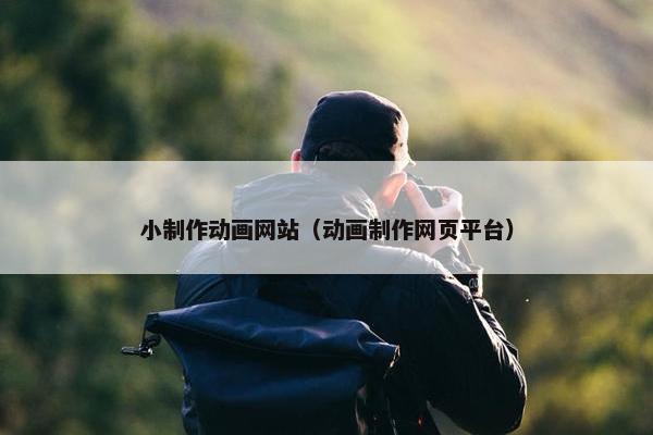 小制作动画网站（动画制作网页平台）