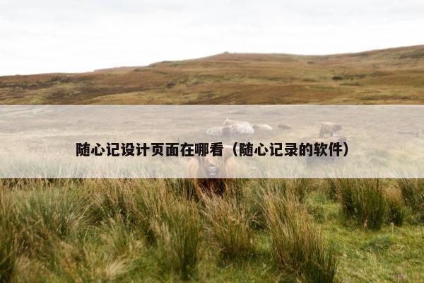 随心记设计页面在哪看（随心记录的软件）