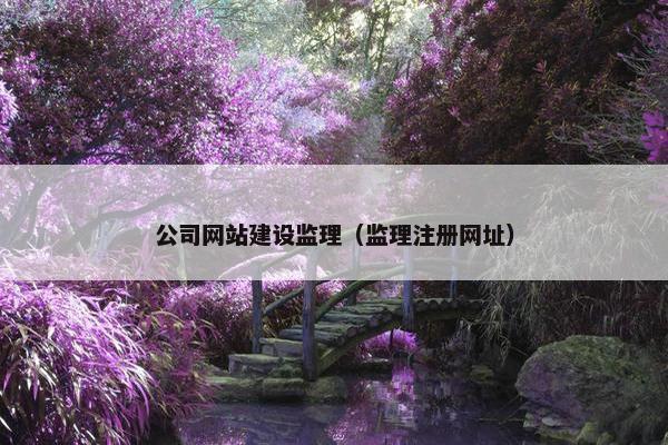 公司网站建设监理（监理注册网址）