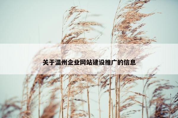 关于温州企业网站建设推广的信息