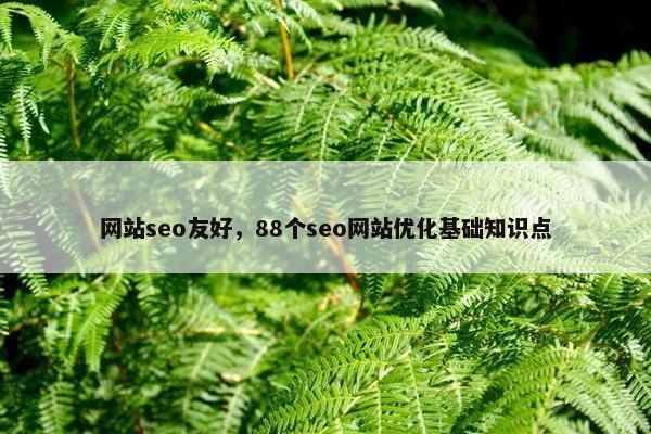 网站seo友好，88个seo网站优化基础知识点