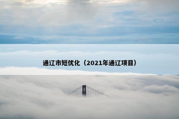 通辽市短优化（2021年通辽项目）