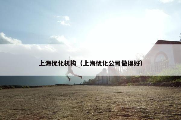 上海优化机构（上海优化公司做得好）