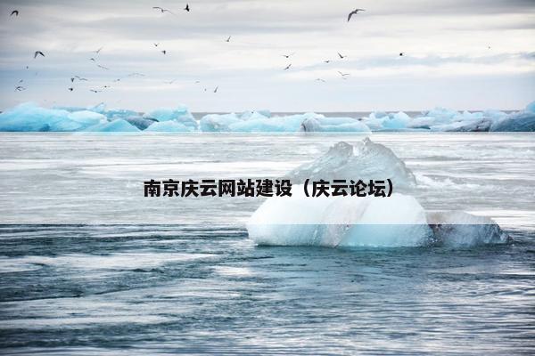 南京庆云网站建设（庆云论坛）