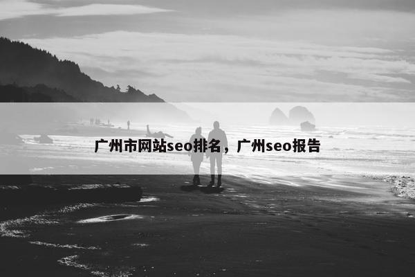 广州市网站seo排名，广州seo报告
