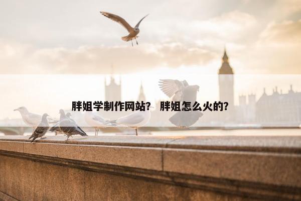 胖姐学制作网站？ 胖姐怎么火的？
